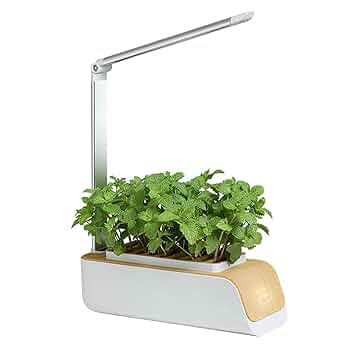 ご予約自家製ハーブ Amazon.co.jp: 屋内ハーブガーデンキット、自動水耕栽培システム